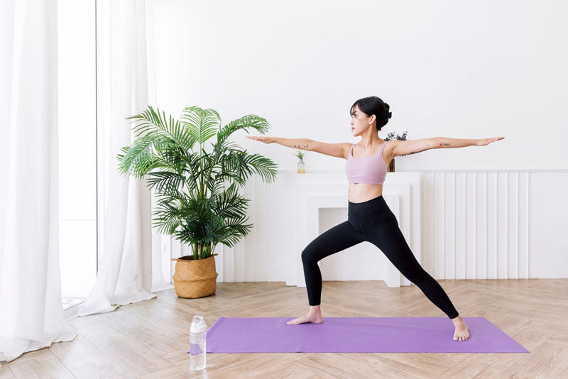 basaho CLASSIC Zafu Meditatiekussen | Biologisch Katoen | Boekweitdoppen | Afneembare Wasbare Hoes (Blad basaho CLASSIC Zafu Meditatiekussen | Biologisch Katoen | Boekweitdoppen | Afneembare Wasbare Hoes (Blad