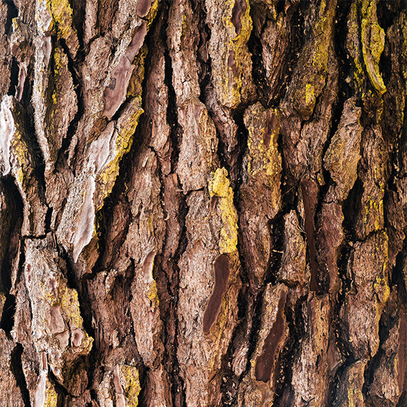 Cork Yoga Mat Basaho Cork Yoga Mat Basaho